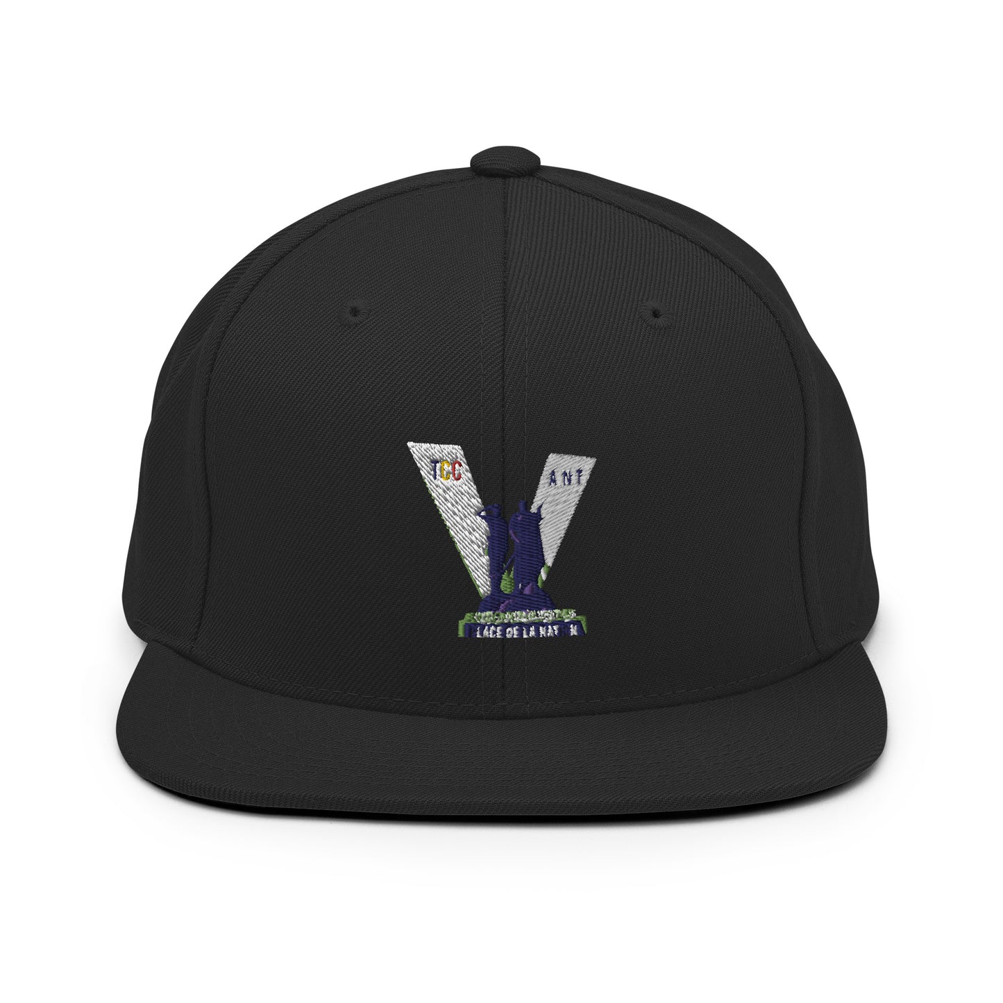 NATION Snapback Hat